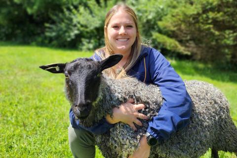 a smiling individual with long hair wearing a dark blue jacket embraces a gray Gotland sheep