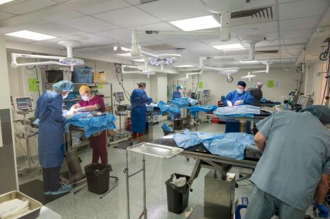 People with masks on and in scrubs and surgical gowns work at tables in a clinic.